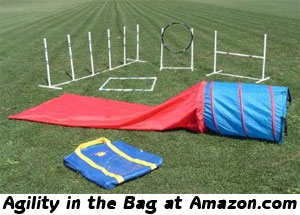 Agility-in-the-Bag