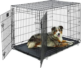 Midwest-Folding-Dog-Crate-48-x-30-x-33 Midwest-folding-crate-brown-border-collie